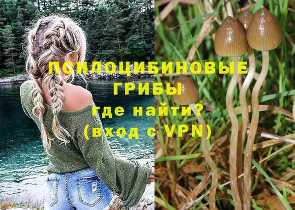 MESCALINE Алзамай